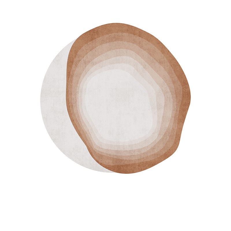 Modern Novelty Shape Rug Stylish Washable Rug Polyester Non-Slip Backing Carpet for Home Decor