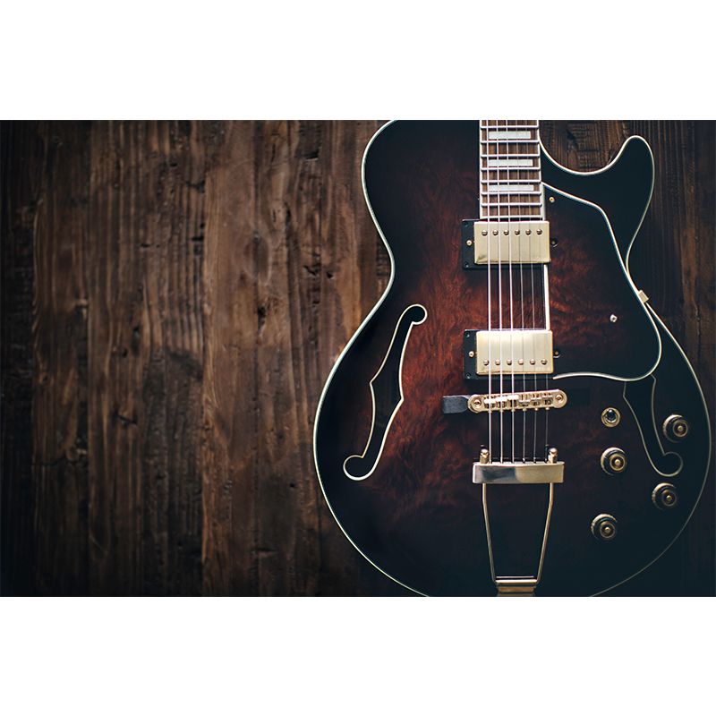 Guitar Water Resistant Mural Modern Washable Living Room Wall Art, Custom Print