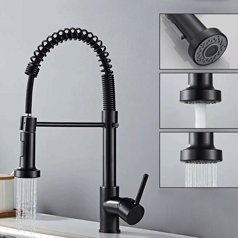 Modern 1-Handle Faucet Spring Spout with Water Dispenser Standard Kitchen Faucet