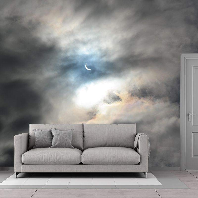 Mildew Resistant Sky Mural Contemporary Sleeping Room Wall Mural