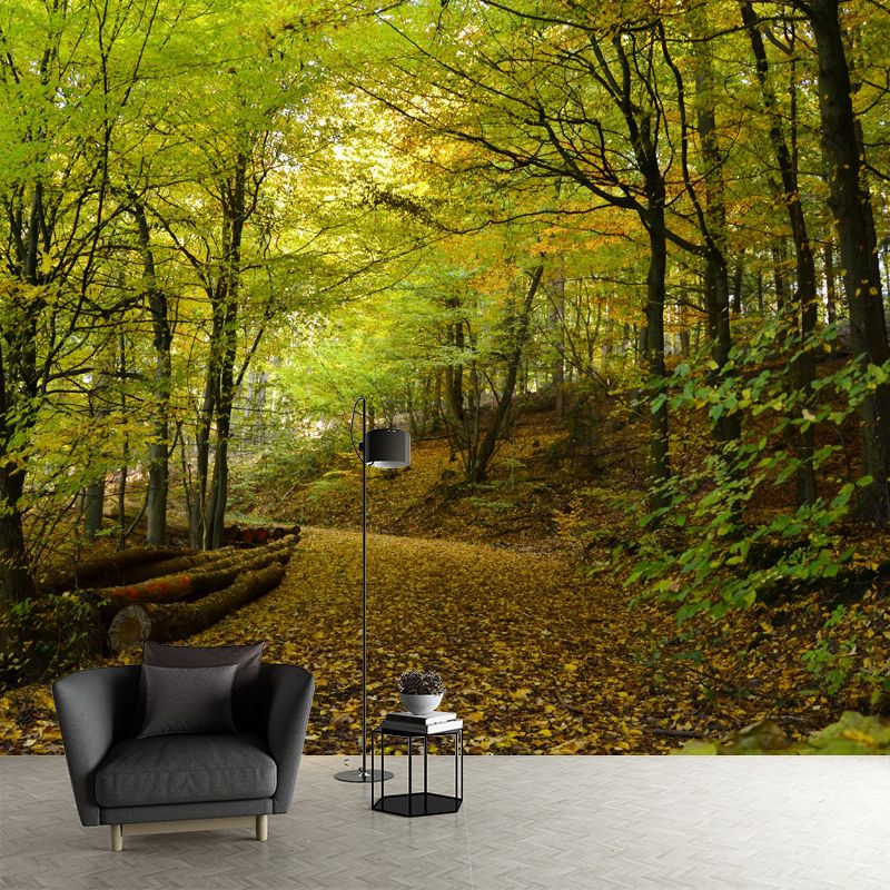 Huge Forest Landscapes Mural Horizontal Photography Wall Covering for Living Room
