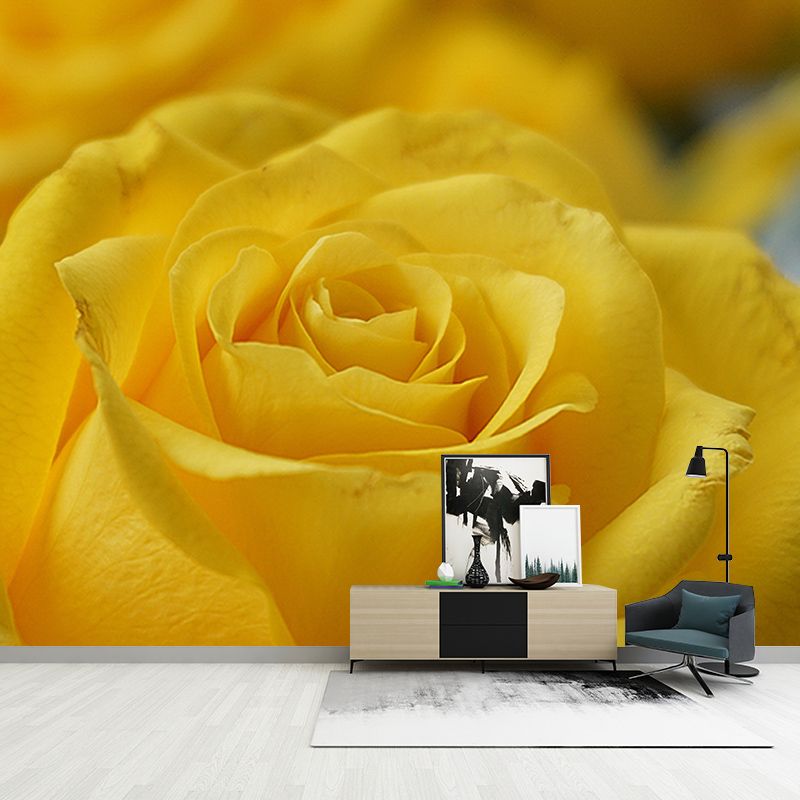 Photography Stain Resistant Mural Wallpaper Roses Indoor Wall Mural