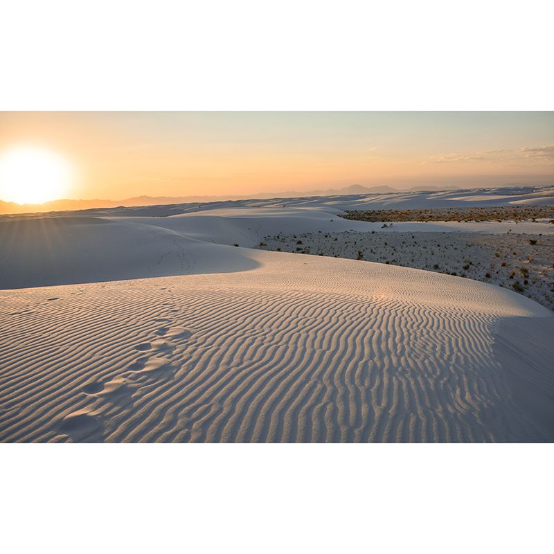 Moisture Resistant Desert Wall Covering Modern Murals Wall Decor for Living Room