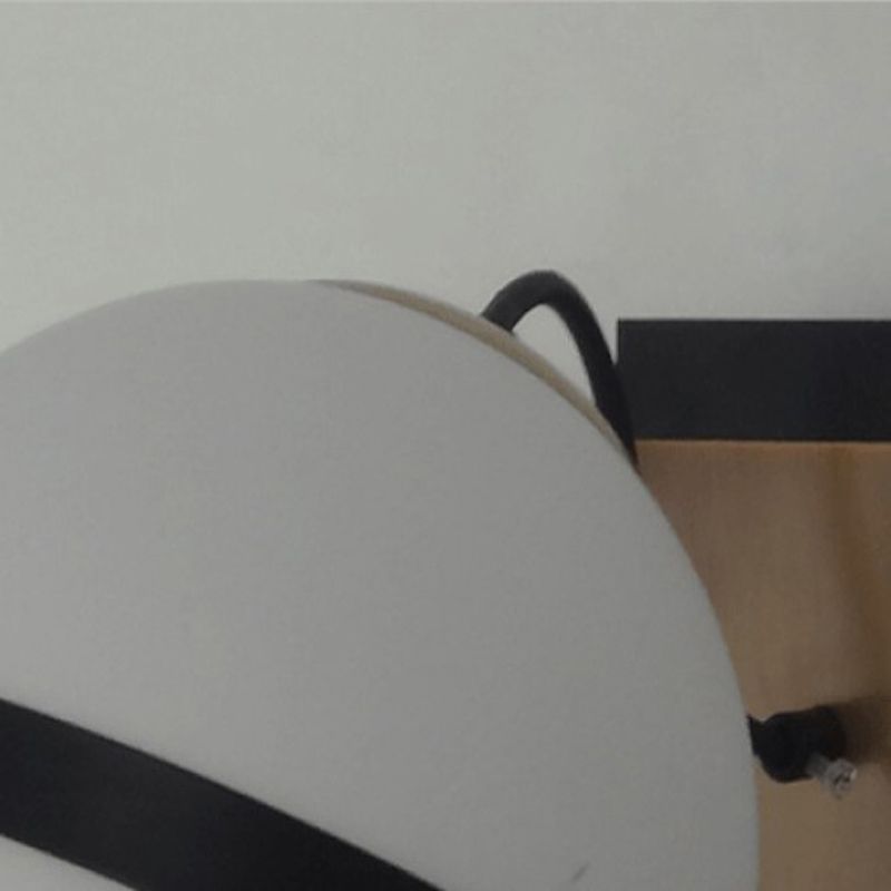 Modern Style Globe Wall Light Glass 1 Light Sconces in Black for Living Room
