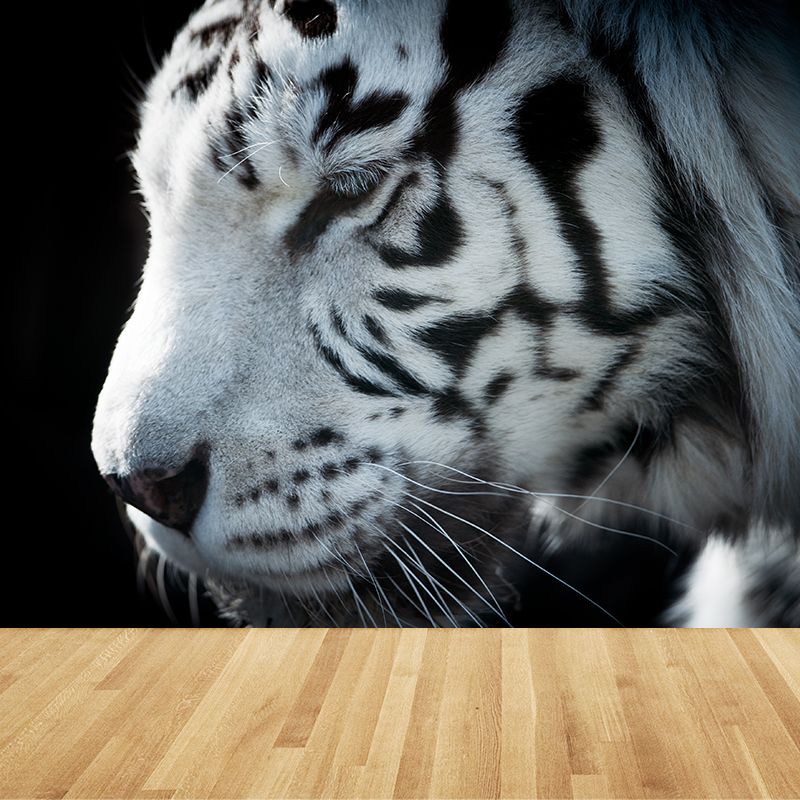 Contemporary Tame Asian Tiger Mural Wallpaper Black Nature Animals Wall Covering