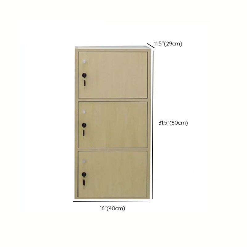 Matte Finish Non-Hanging Cabinet Modern Wood Storage Cabinet with Hinged Doors