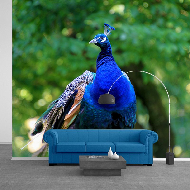 Blue Peacock Mural Wallpaper for Living Room Moisture Resistant, Custom Size