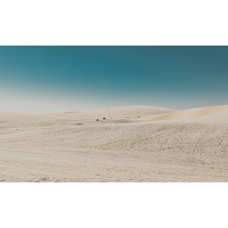 Dry Desert Wall Mural Decal for Reading Room, Personalized Size Available