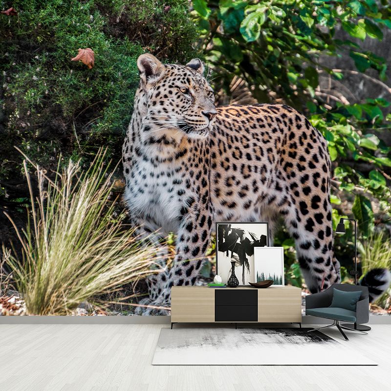 Customized Leopard Wall Mural Contemporary Photography for Bedroom Living Room