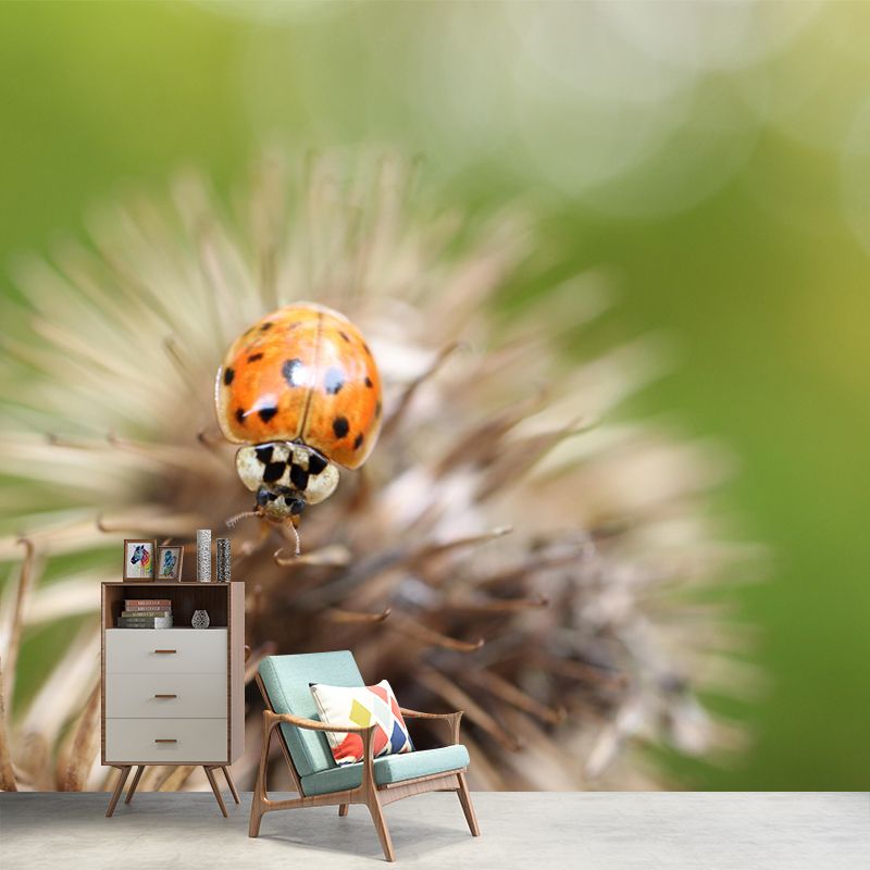 Ladybug Animal Wallpaper Mural Contemporary Style Wall Art for Living Room