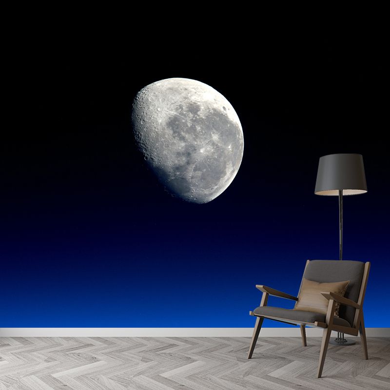 Modern Style Photography Mural Wallpaper Moon Indoor Wall Mural