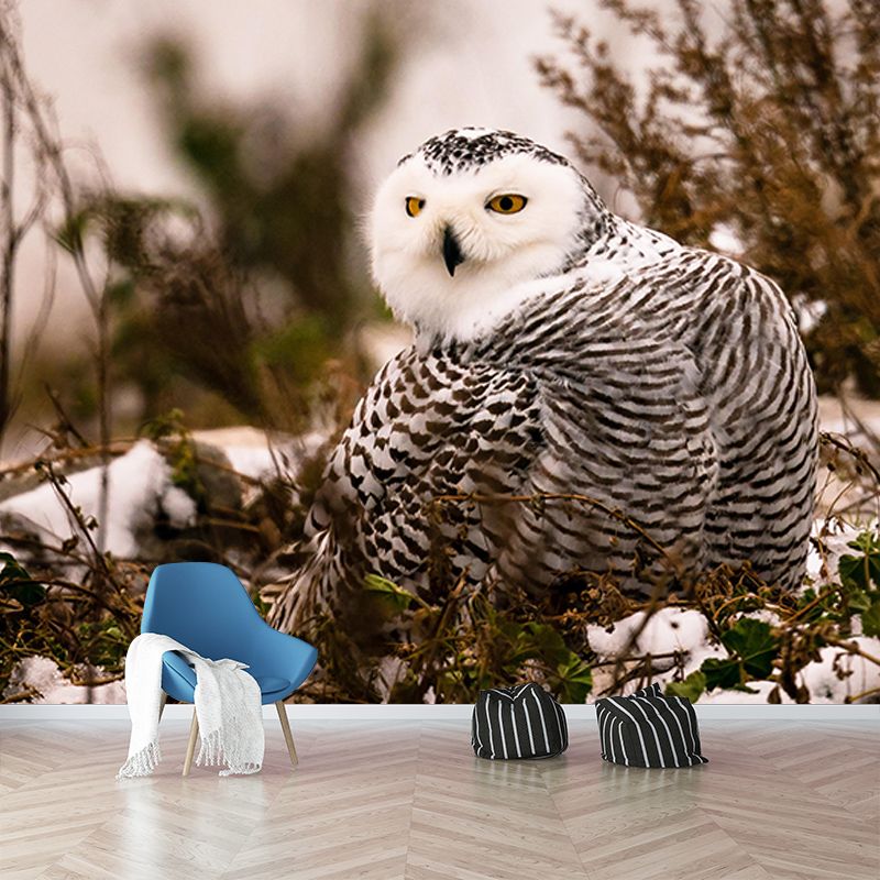 Vivid Animal Contemporary Style Wild Animal Mural Mildew Resistant Wall Covering