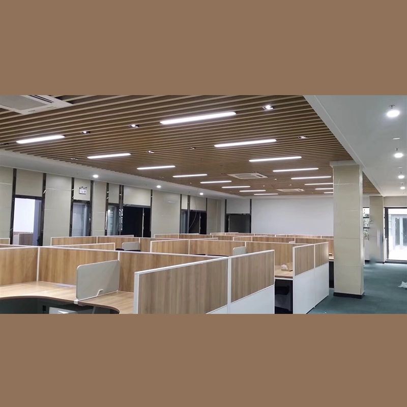 Moderne Reactangle -Anhänger -Beleuchtung Acryl 1 Licht Deckenlampe