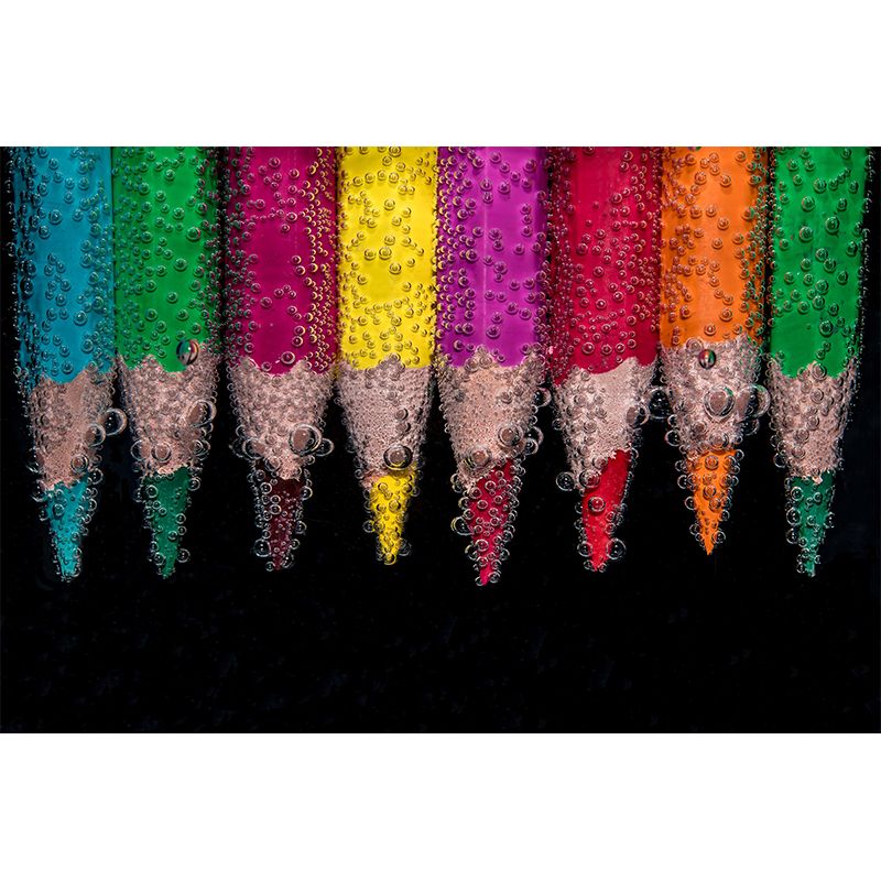 Color Pencil Mildew Resistant Personal Hobby Mural Drawing Atelier Wall Art