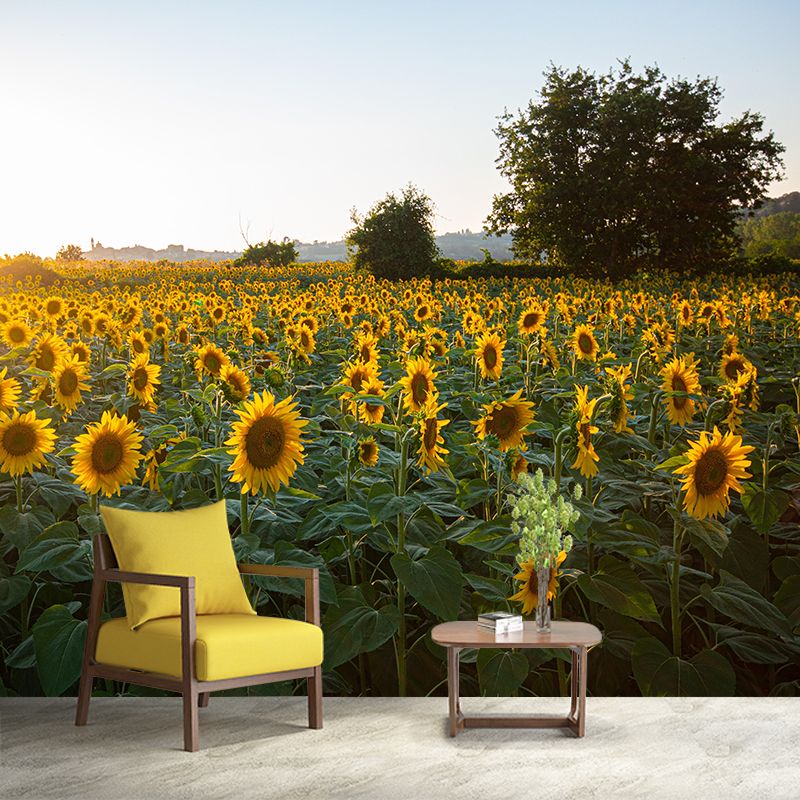 Photography Style Sunflower Blossing Mural Wallpaper Modern Wall Covering for Living Room