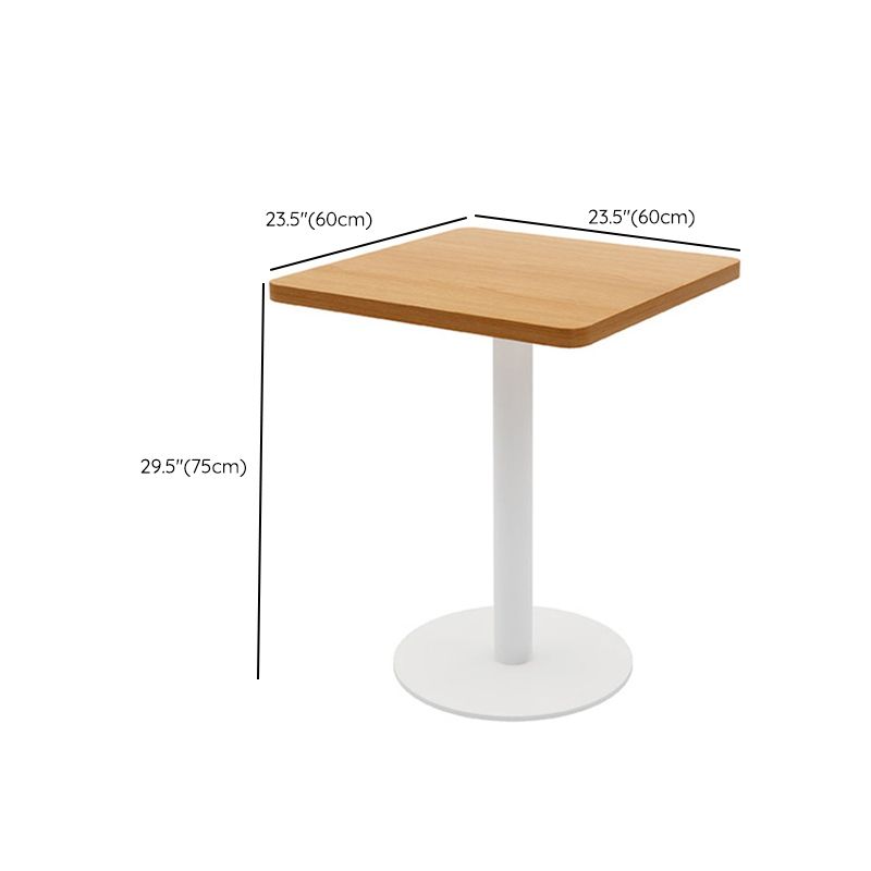 Contemporary Solid Wood Dining Table Pedestal Dining Table for Home Use