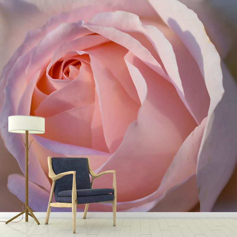 Modern Photography Mural Wallpaper Elegant Rose Indoor Wall Mural