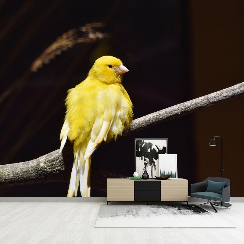 Canary Contemporary Wall Mural Modernist Wall Covering for Bedroom Decor