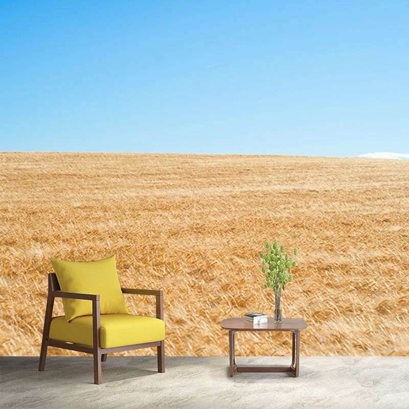 Wheat Field Mildew Resistant Wallpaper Photography Sleeping Room Wall Mural