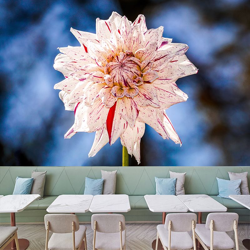 Dahlia Blooming Flower Mural pour l’intérieur de la maison, couleur douce, taille personnalisée disponible