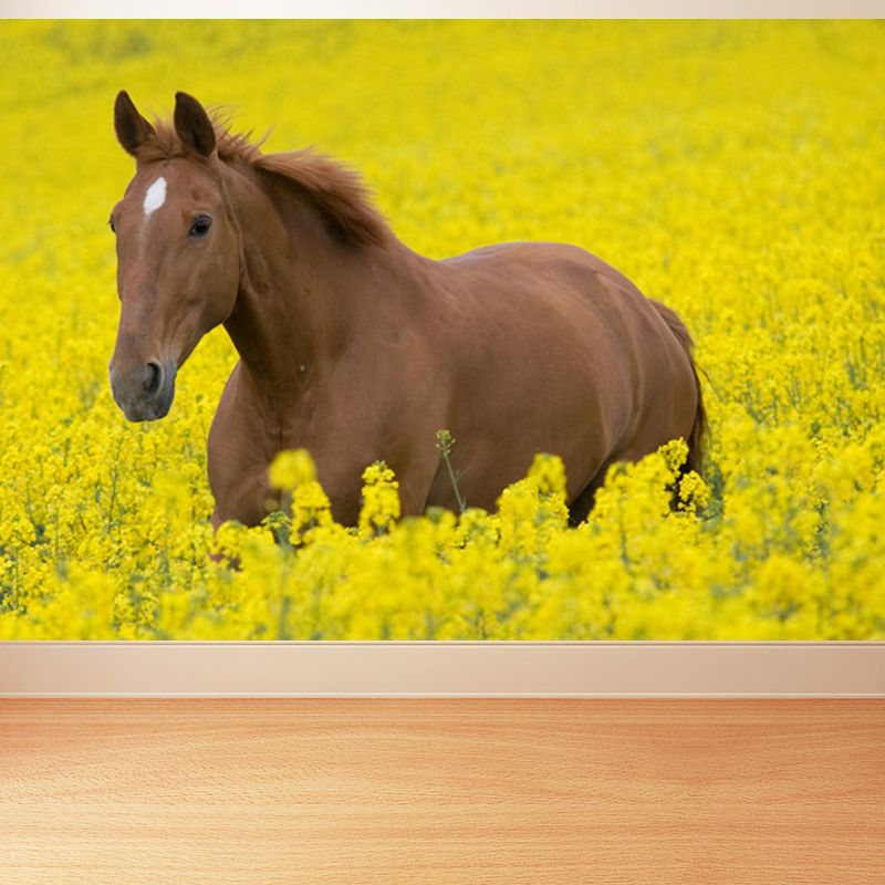 Horse Mural Decal Modern Decorative Boys Room Wall Covering, Custom Size Available