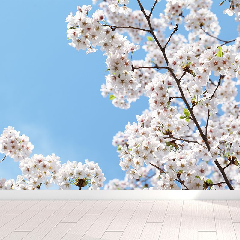 Stain Resistant Cherry Mural Wallpaper Non-Woven Modern Wall Decor for Girls Room