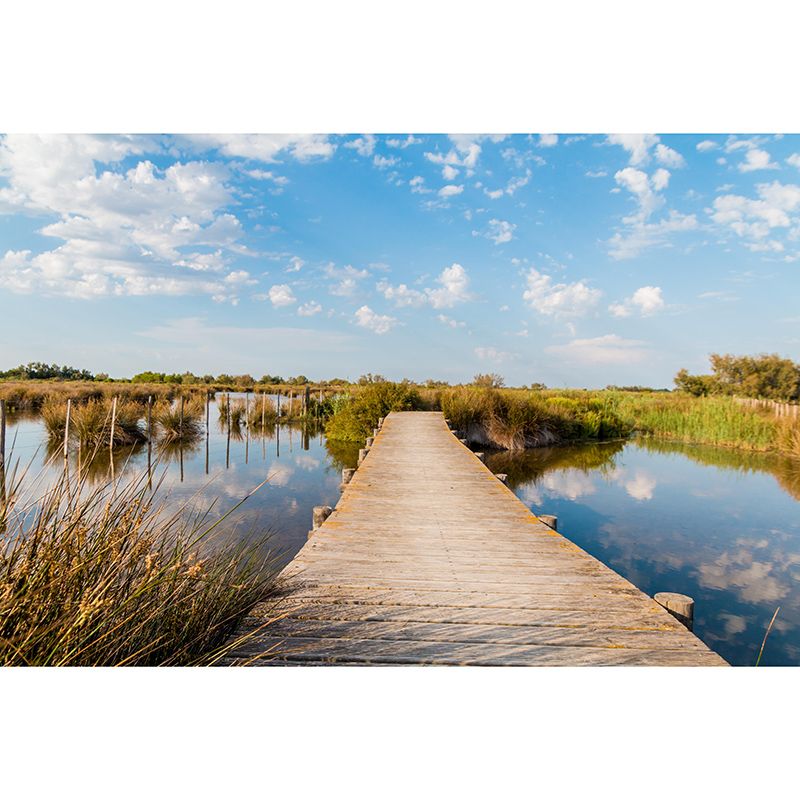 Space Extension Wall Mural Modern Style Mildew Resistant for Dining Room