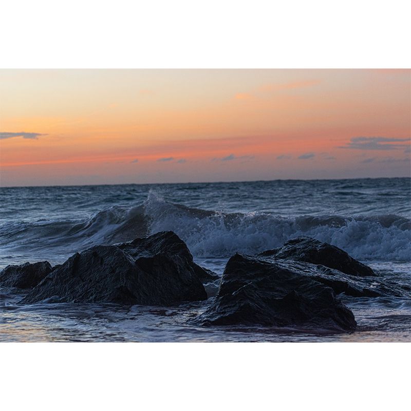 Beach View Wall Murals Tropics Moisture Resistant Wall Covering for Living Room