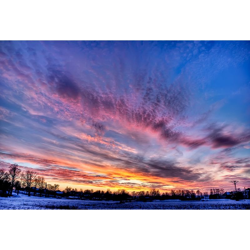 Splendid Evening Glow Mural Wallpaper for Living Room, Dark Color, Personalized Size