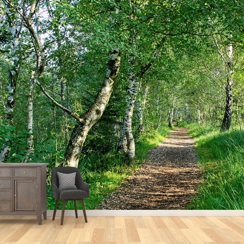 Space Extension Wall Mural Wallpaper Photography Style Mildew Resistant for Living Room