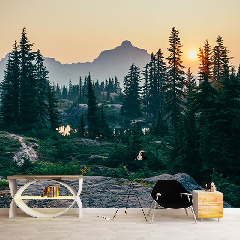 Photography Wall Mural Wallpaper Quiet Forest Sitting Room Wall Mural