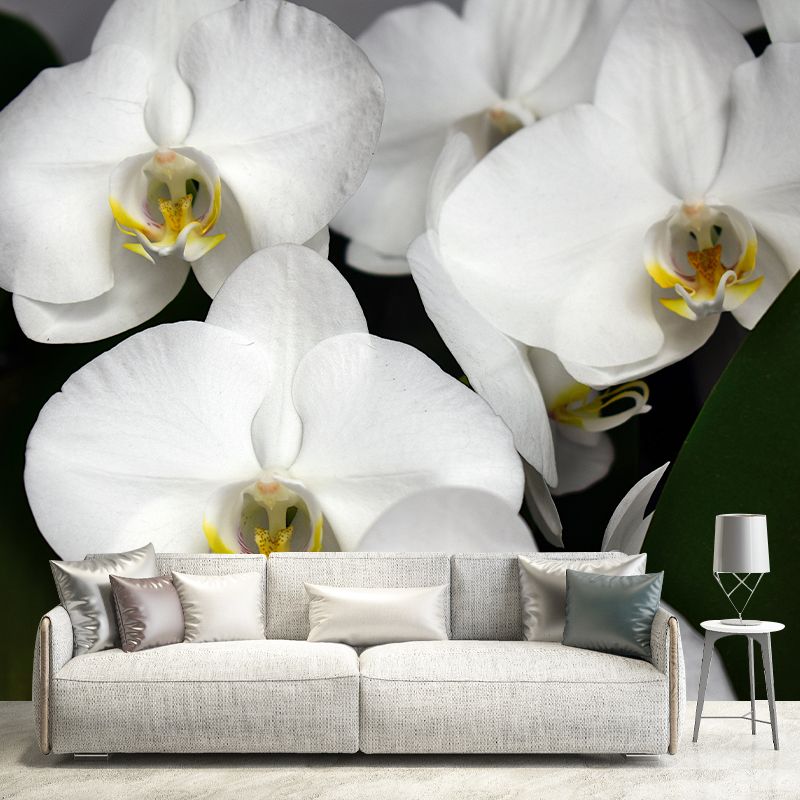 Beautiful Orchid Wall Mural Moisture Resistant Wall Decor for Sleeping Room