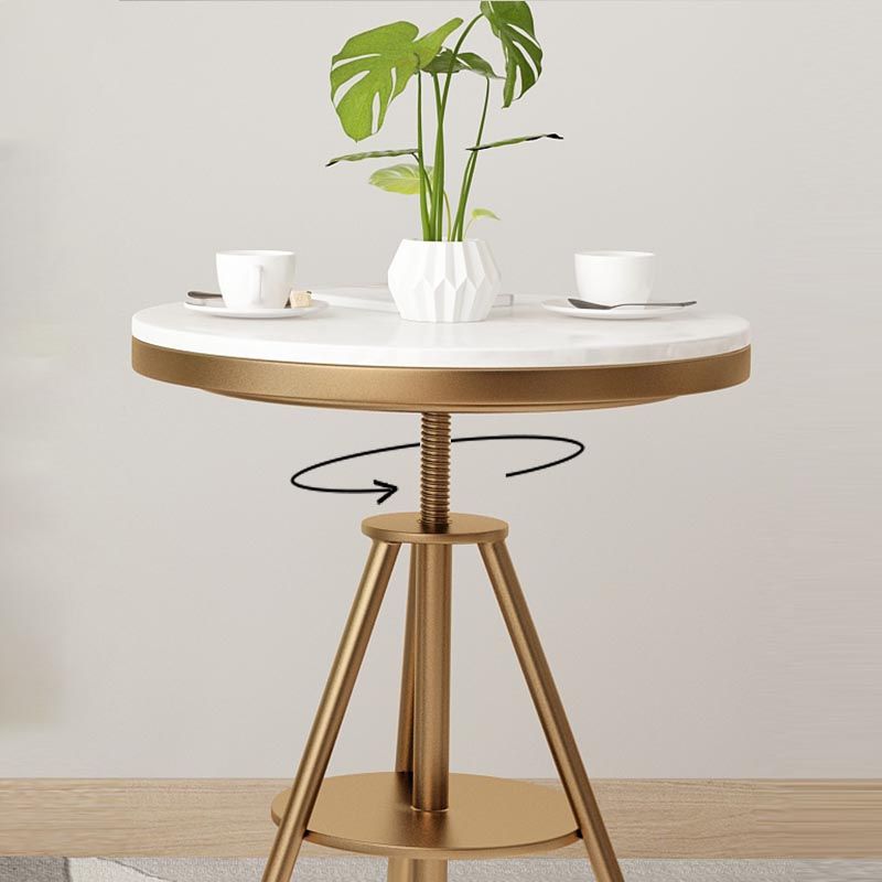 Traditional Luxury Round Dining Table Marble Top Table with Gold Metal Base