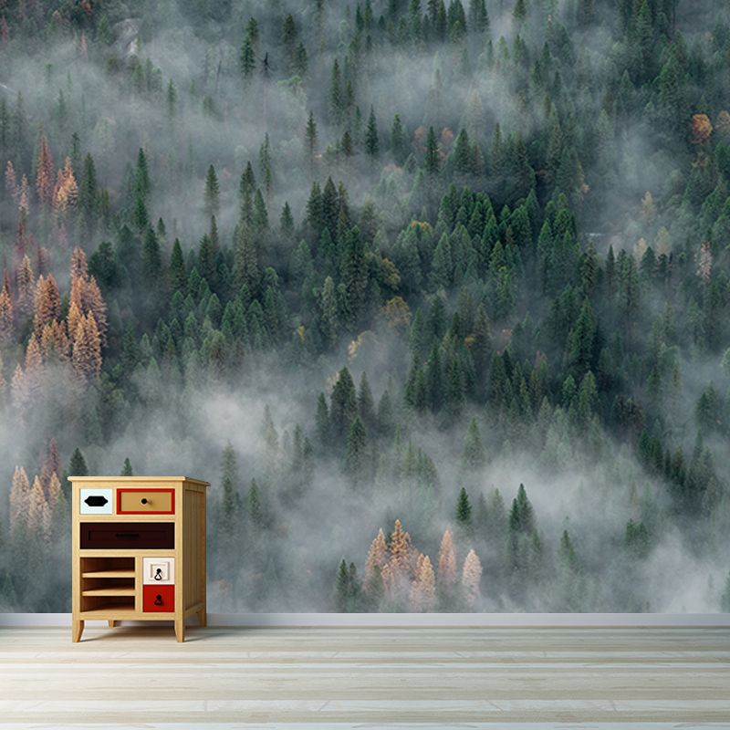 Photography Stain Resistant Wall Mural Wallpaper Quiet Forest Sitting Room Wall Mural
