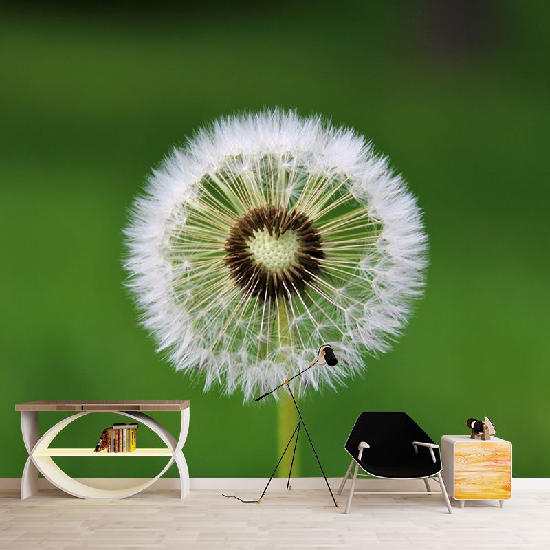 Dandelion Plant Mural Wallpaper for Living Room Decor, Custom Size Available