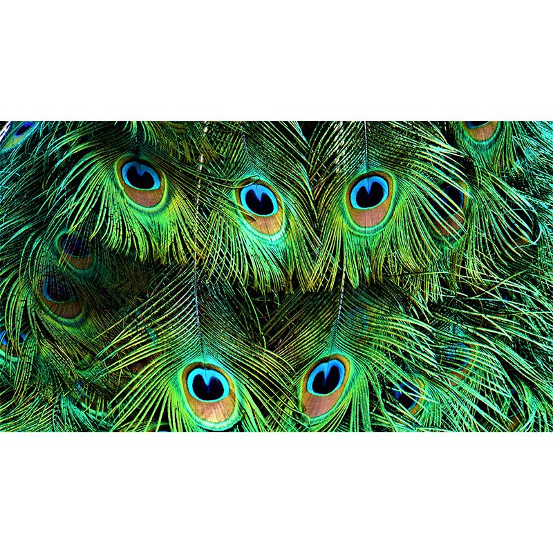 Contemporary Feather Wall Mural Photography Home Stain Resistant Wall Mural