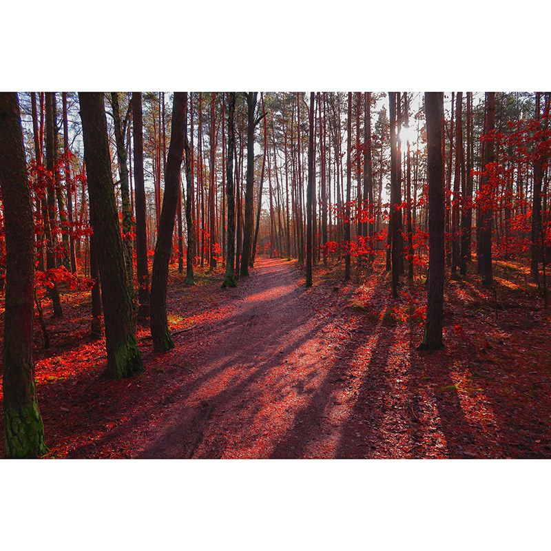 Customized Forest Mural Modern Decorative Eco-friendly Wall Art