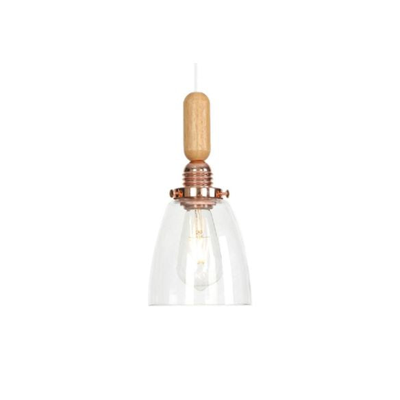 Globe/Cone/Small Bell Pendant Lighting Vintage Clear Glass 1 Licht Roségoud/Chrome hangende lamp met verstelbaar koord