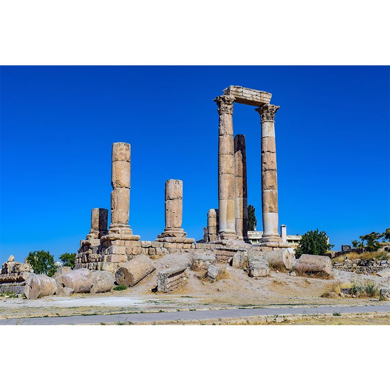 Photography Temple-of-Hercules Mural Wallpaper Wall Covering for Bathroom