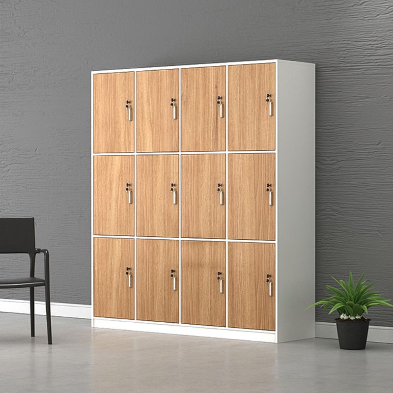 Contemporary Brown Storage Cabinet Manufactured Wood Hinged Door Cabinet