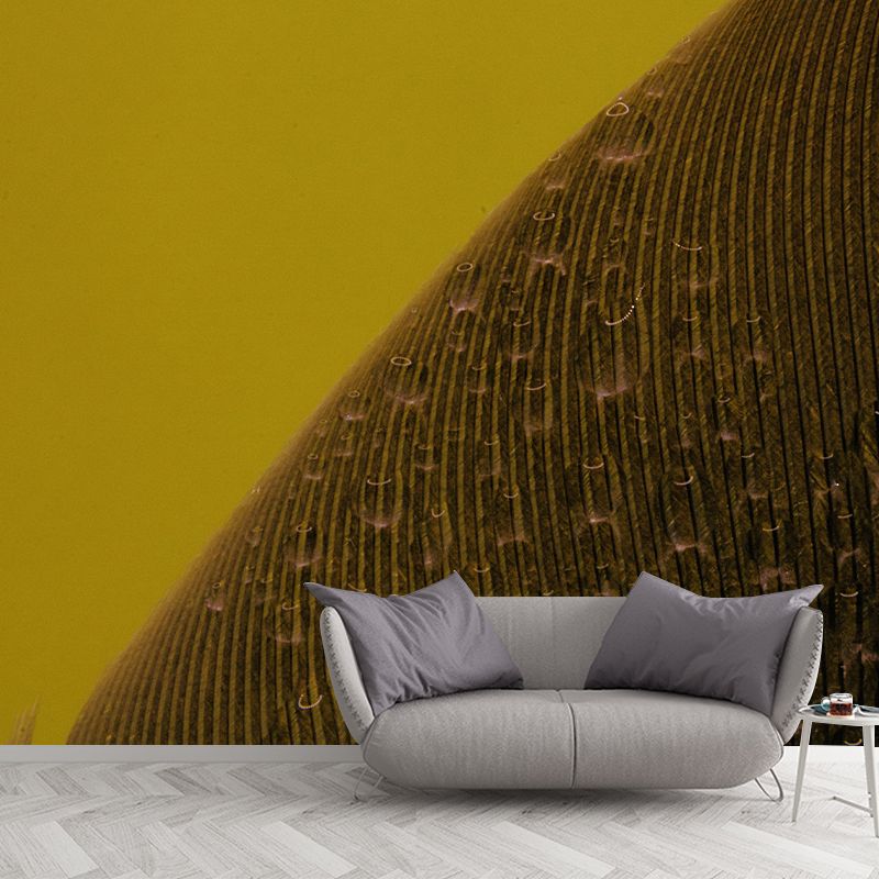 Horizontal Photography Feather Mural Eco-friendly Decorative Wallpaper Home Decor