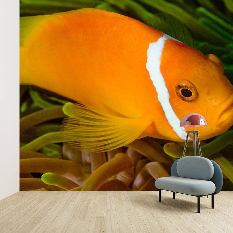 Underwater Mural Contemporary Photography Wall Covering for Home Decor