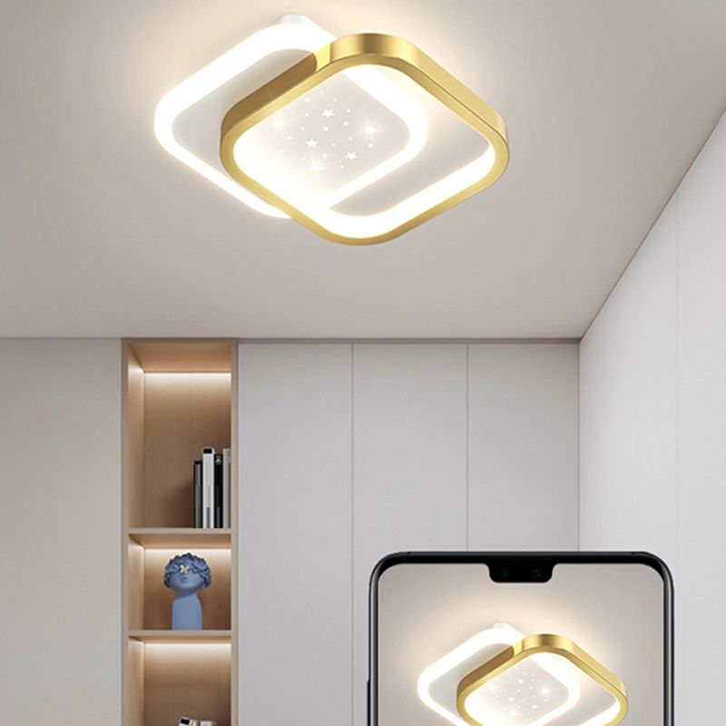 Simple LED Ceiling Light Fixture Metal Flush Mount Entry Light