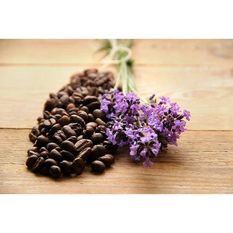 Coffee Beans Mural Wallpaper Environment Friendly for Coffee Shop Wall Covering