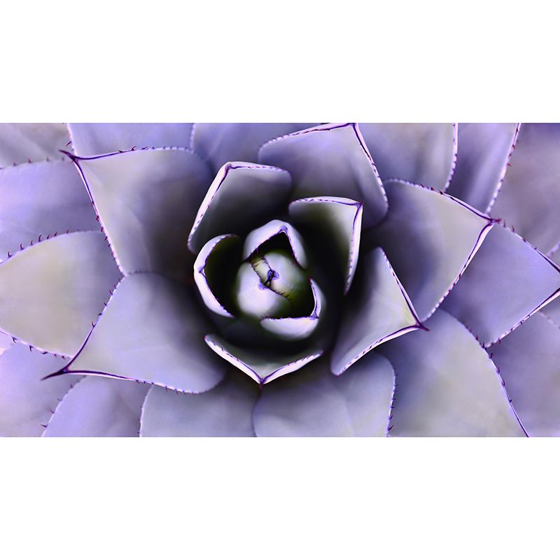 Aloe Green Plant Wall Mural Environment Friendly for Study Room Home Decor