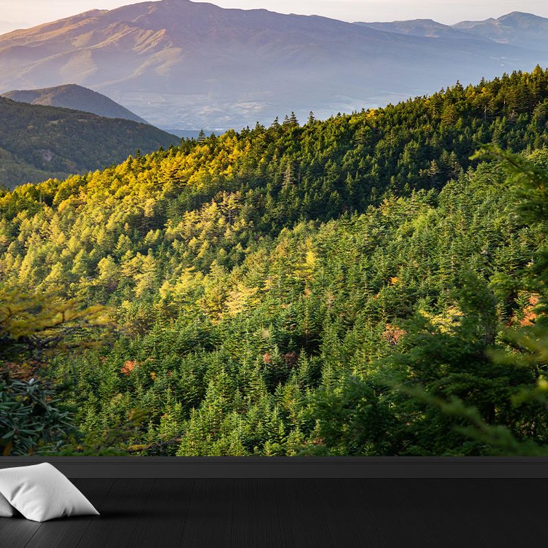 Contemporary Mountain Mural Wallpaper Photography Horizontal for Bedroom