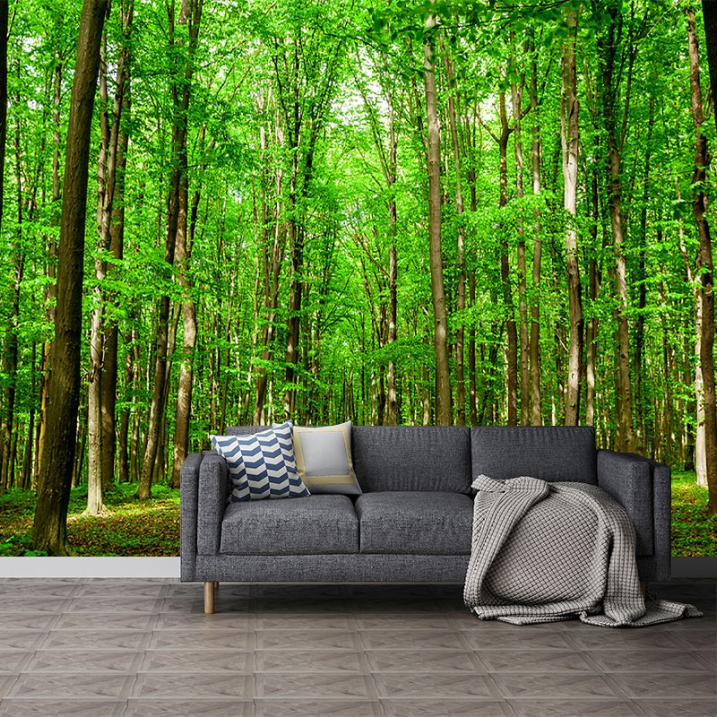 Tropical Jungle Mural Wallpaper for Meeting Room Decoration, Green, Custom Size Available