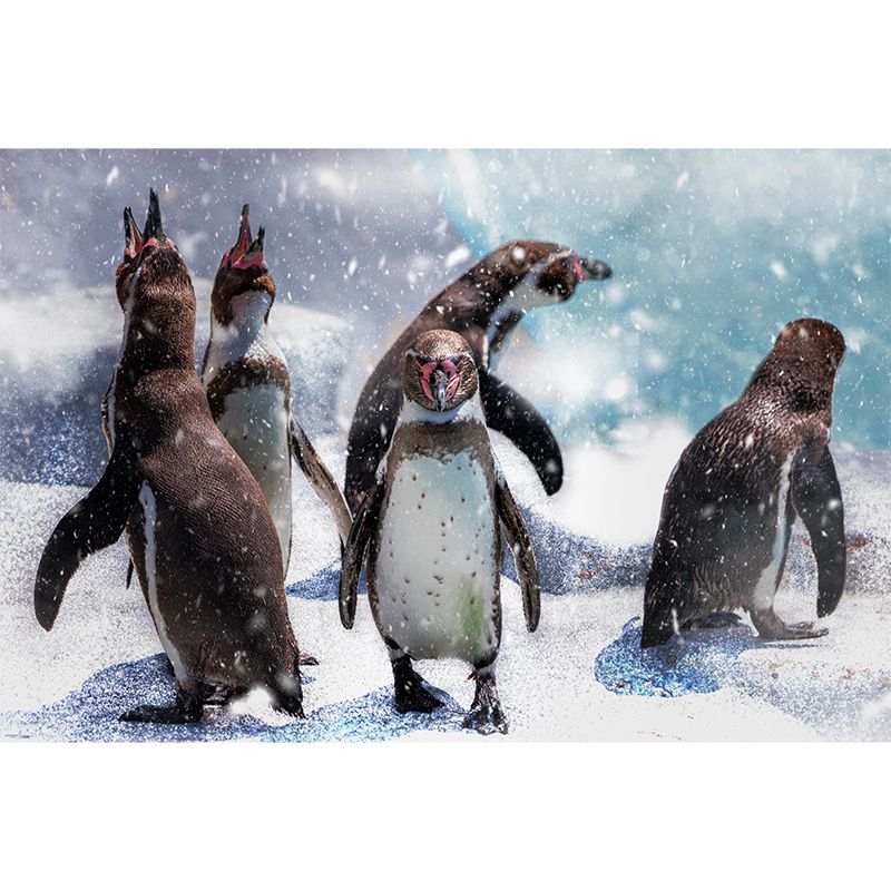 Penguin Animal Mural Wallpaper Contemporary Wall Covering for Sitting Room