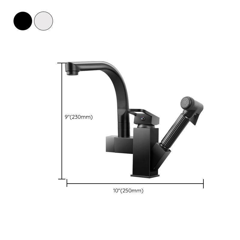 Traditional 1-Handle Faucet with Water Dispenser Standard Kitchen Faucet