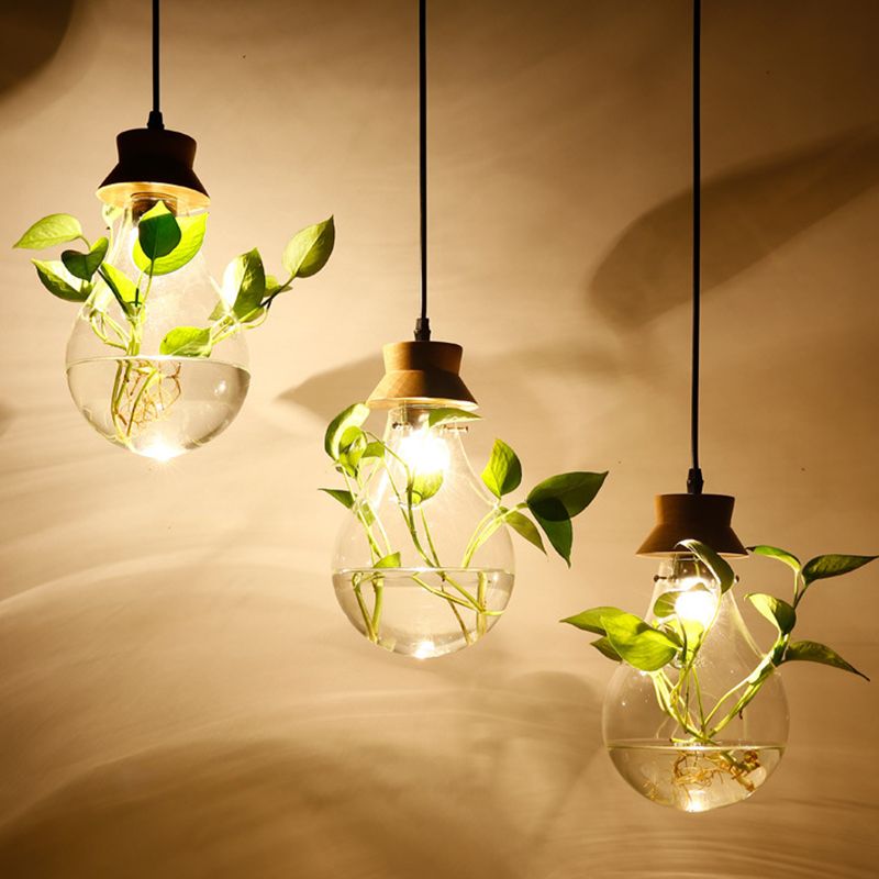 Contemporary Design Bulb Glass Shade Hanging Lamp Hydroponics Plant Drop Pendant for Coffee Shop